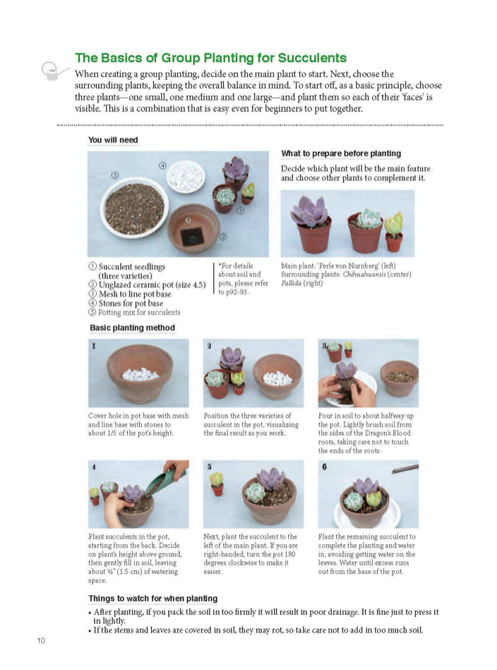 Container Succulents Book