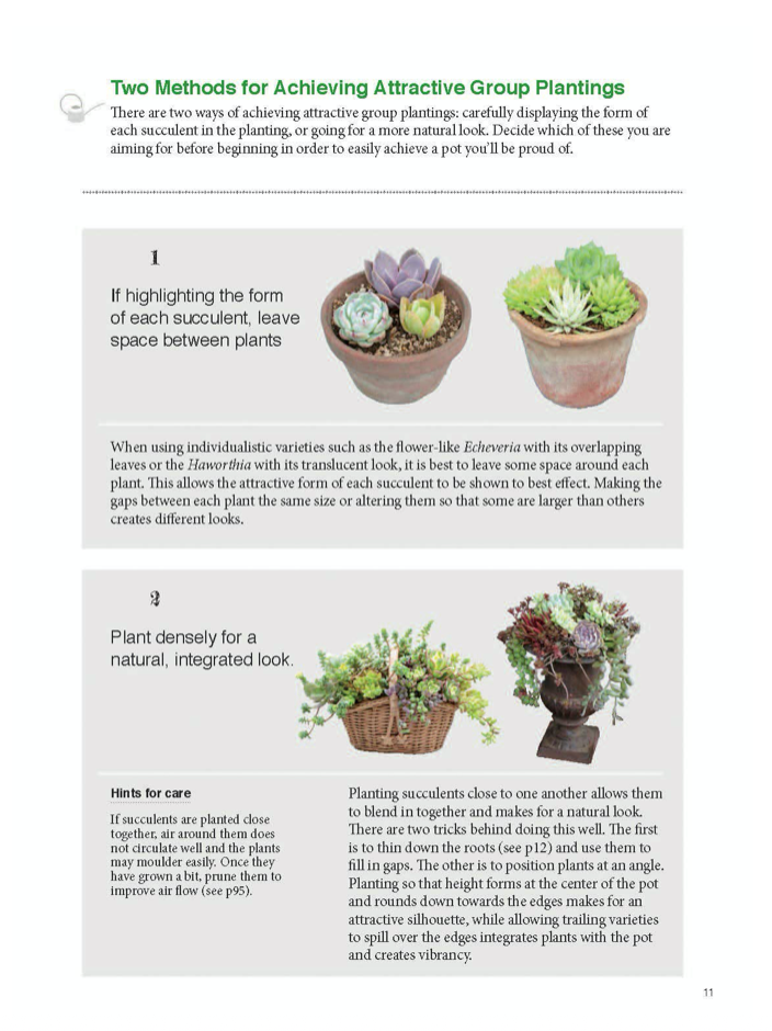 Container Succulents Book