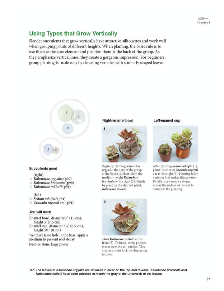 Container Succulents Book