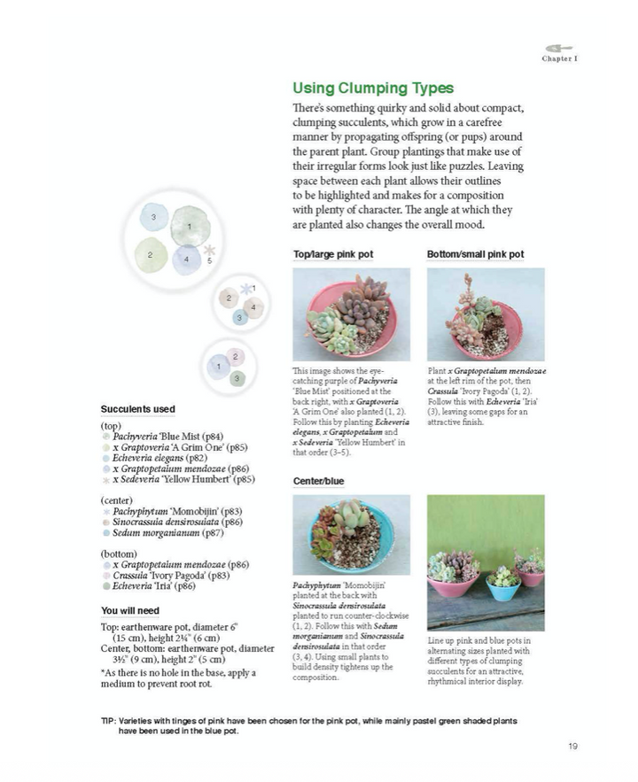 Container Succulents Book