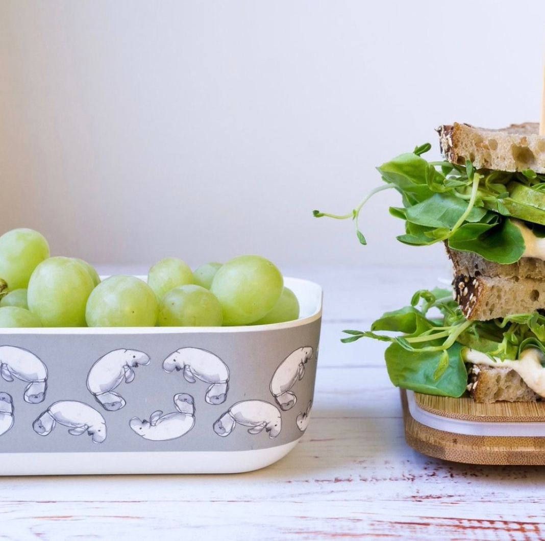 Lunch Box