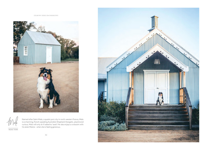 Country Dogs On Doorsteps