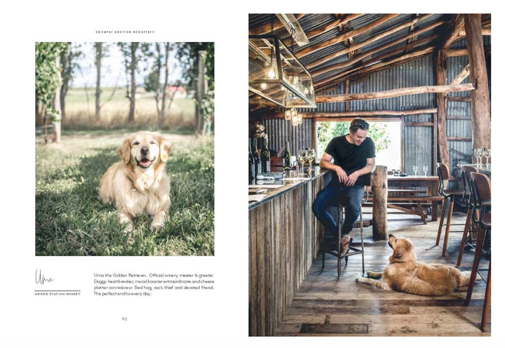 Country Dogs On Doorsteps
