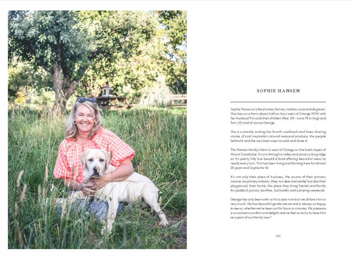 Country Dogs On Doorsteps