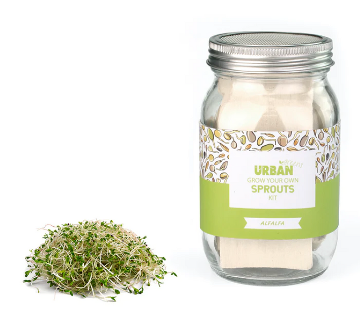 Sprout Kit - Alfalfa