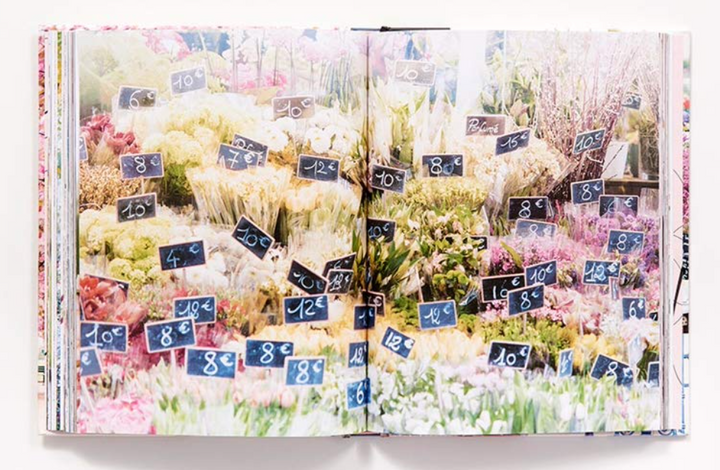 Paris In Bloom