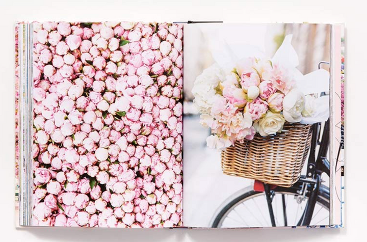 Paris In Bloom