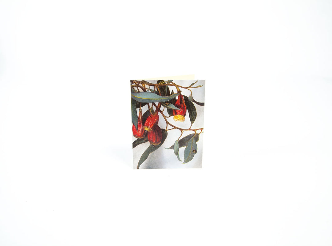 Boxed Mini Cards Gum Bug