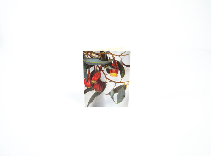 Boxed Mini Cards Gum Bug