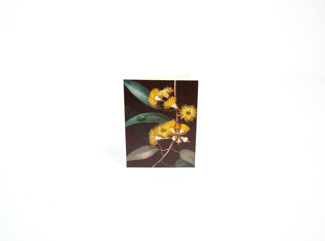 Boxed Mini Cards Gum Bug