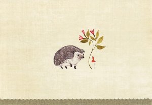 Note Cards Boxed